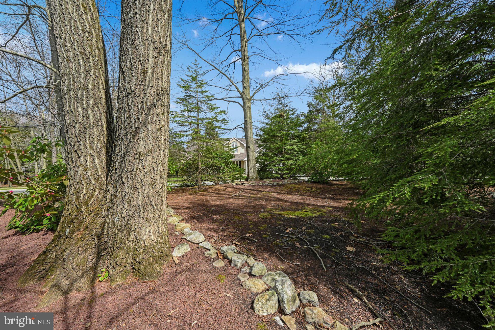 NORWEGIAN WOODS - Residential