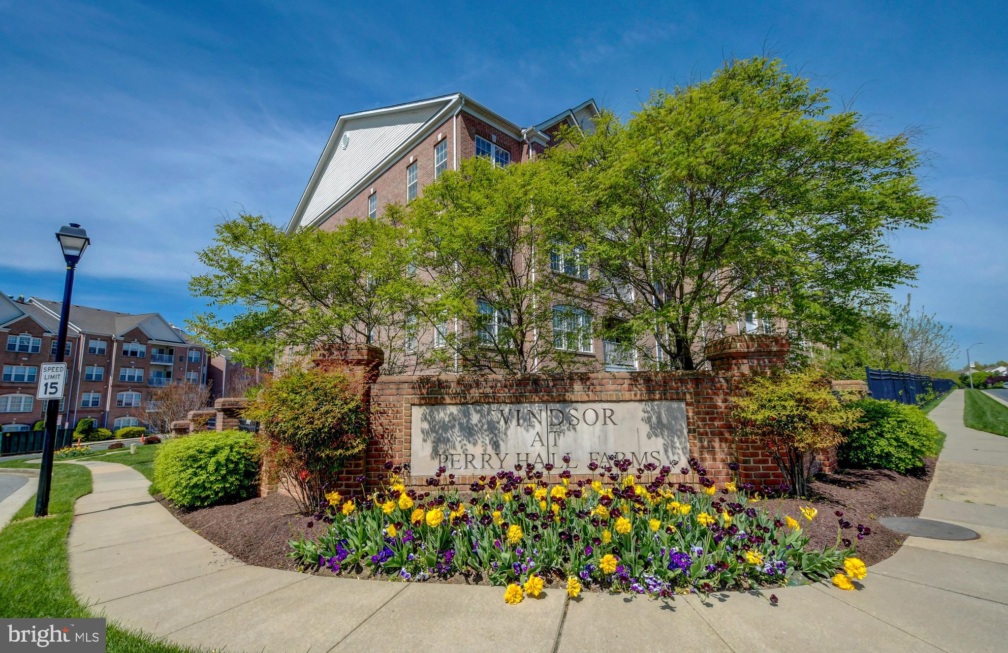 WINDSOR AT PERRY HALL FARMS - Residential