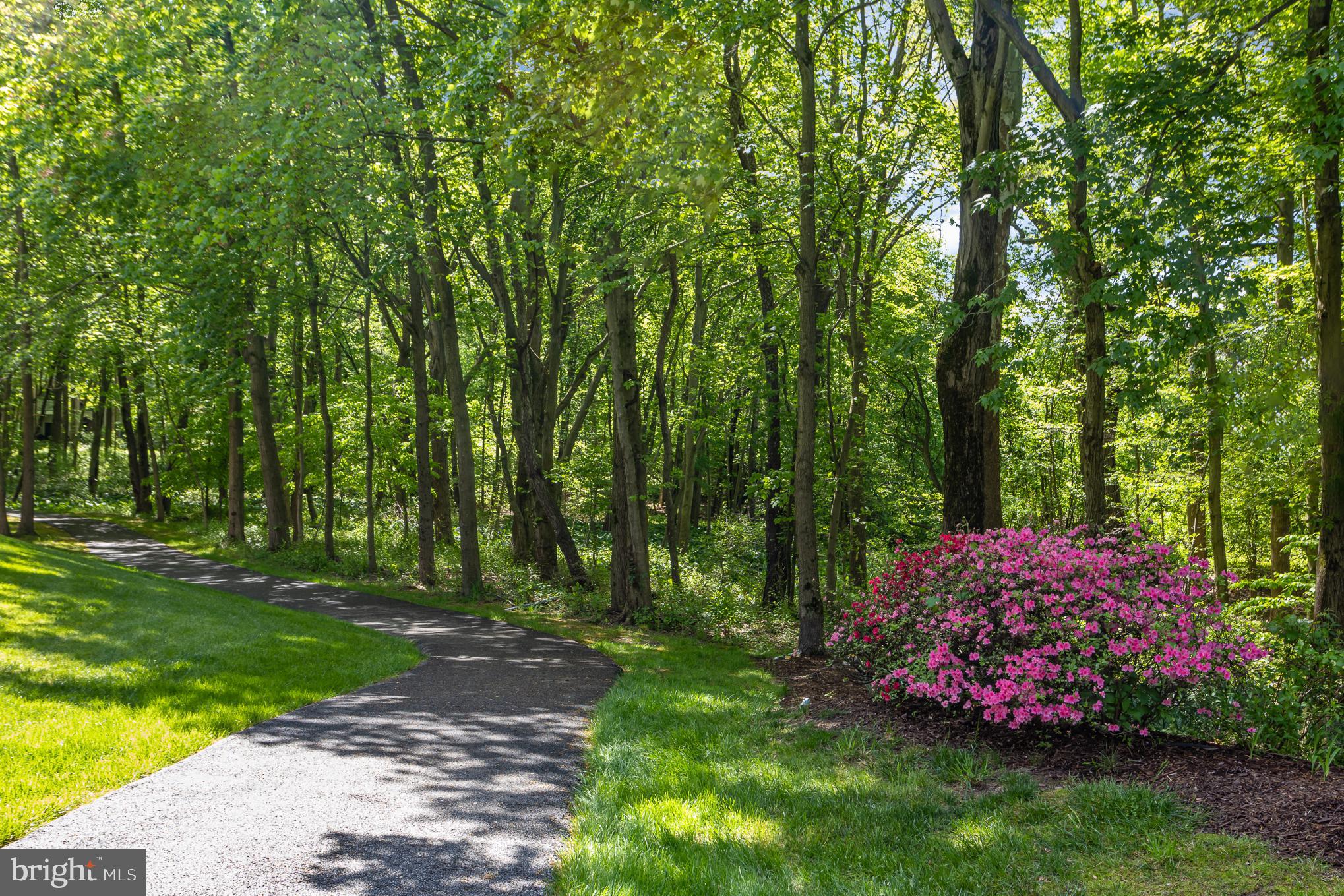 WINDSOR AT PERRY HALL FARMS - Residential