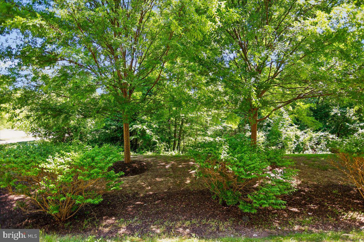 CREEKSIDE VILLAGE AT TANYARD SPRINGS - Residential