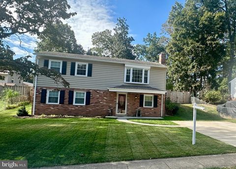 13715 SMALLWOOD COURT CHANTILLY VA 20151