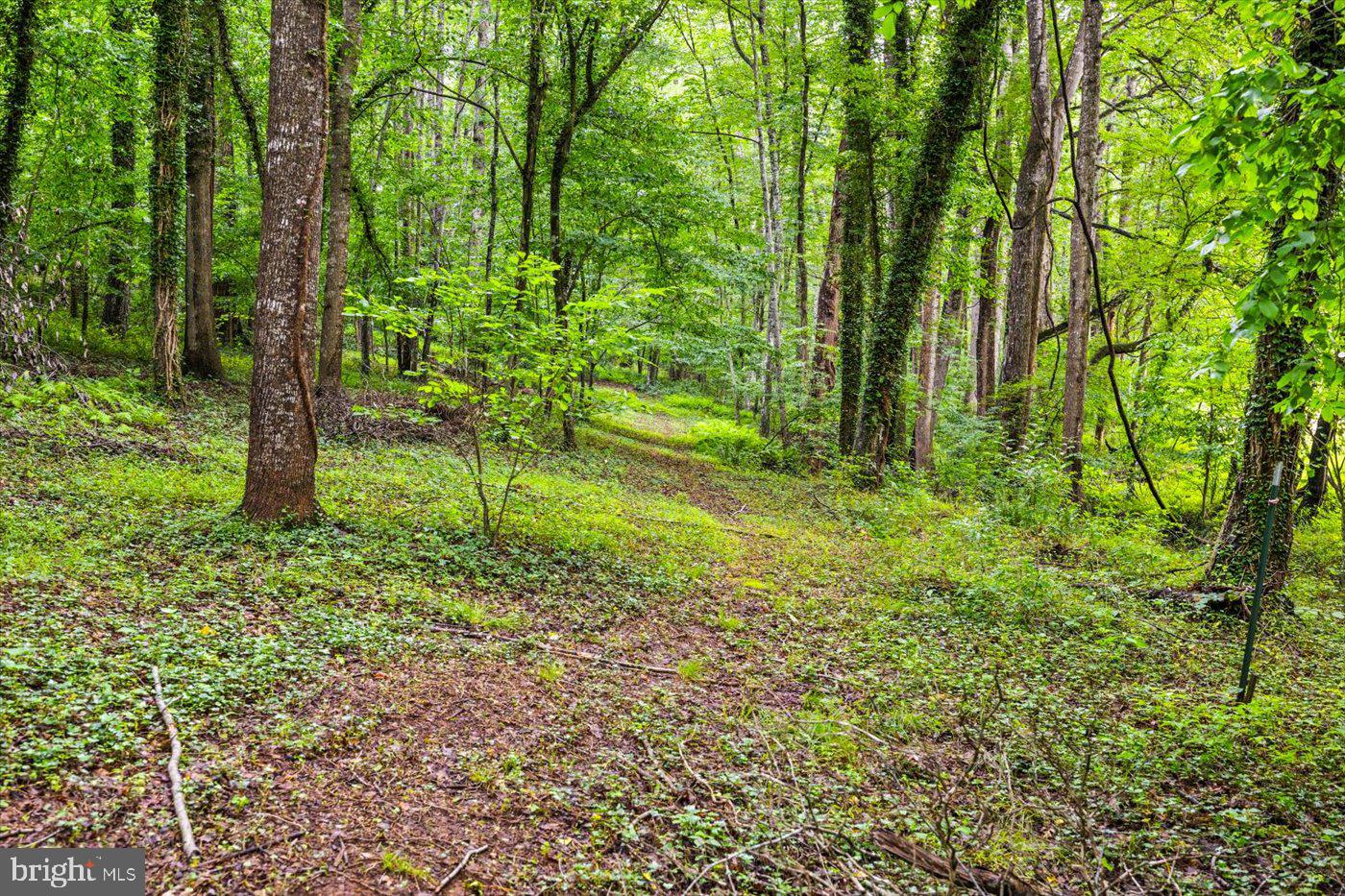 FOX RIDGE - Residential