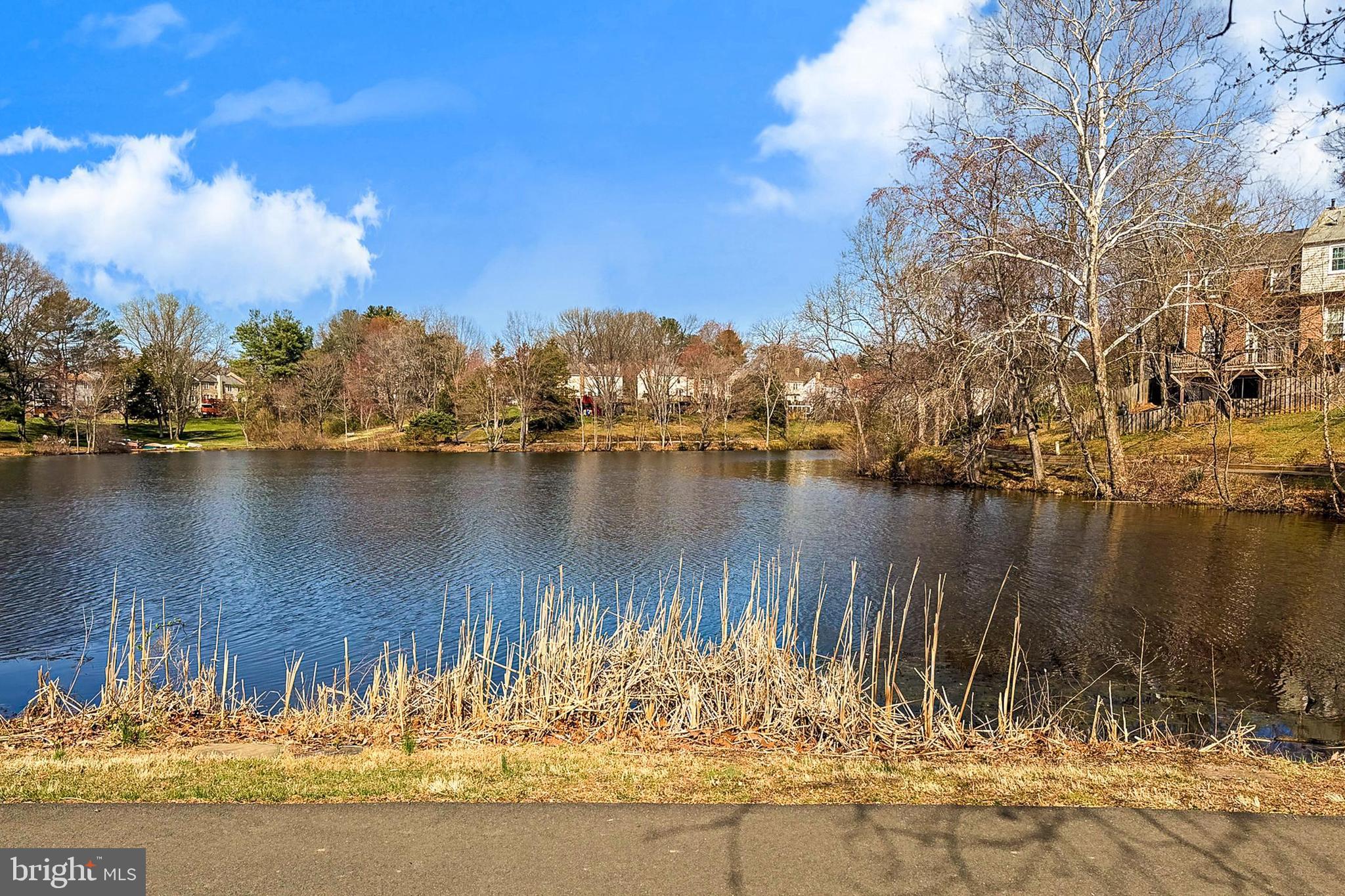 LAKE BRADDOCK - Residential