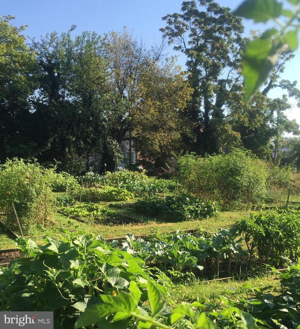 RADNOR WINSTON - Residential