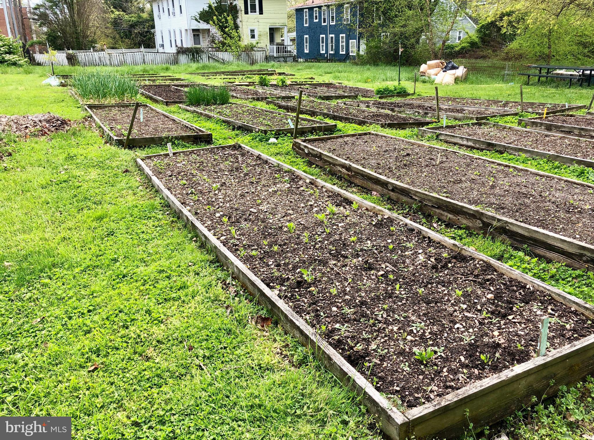 RADNOR WINSTON - Residential