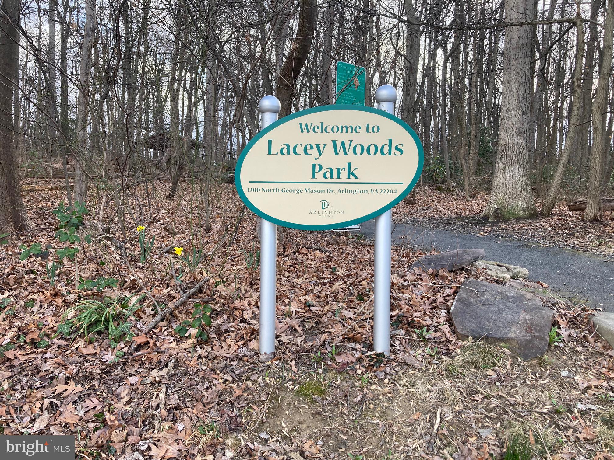LACEY FOREST - Residential