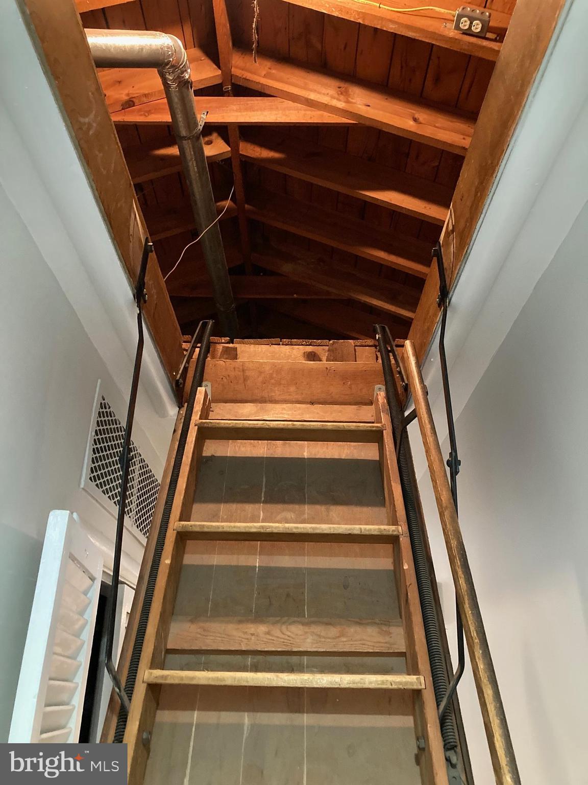 LACEY FOREST - Residential