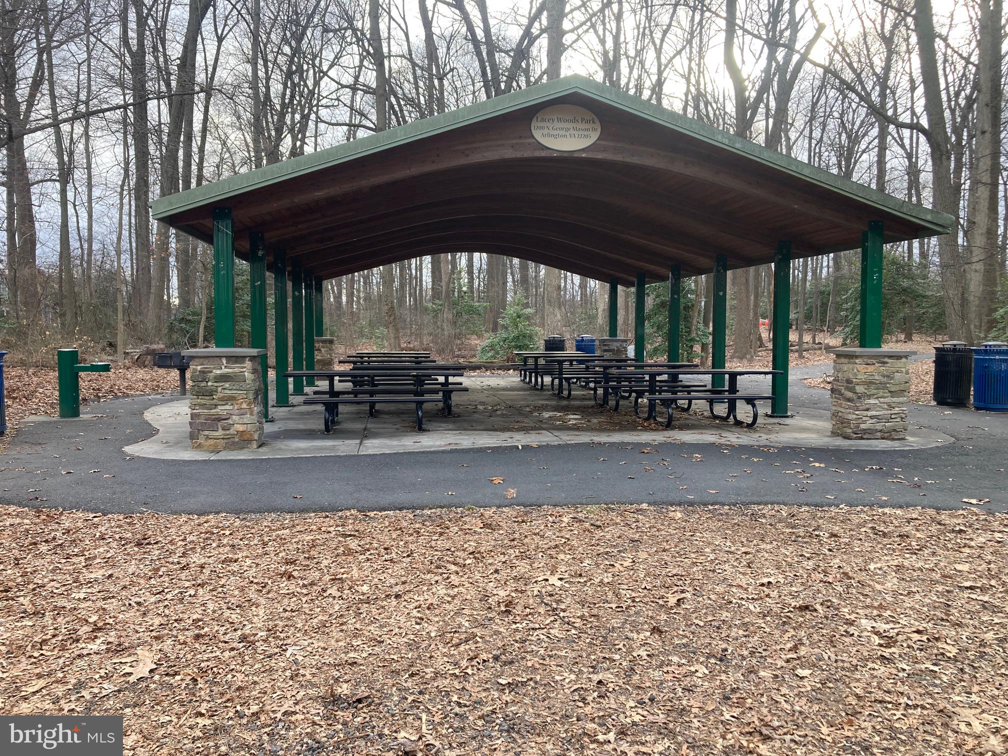 LACEY FOREST - Residential