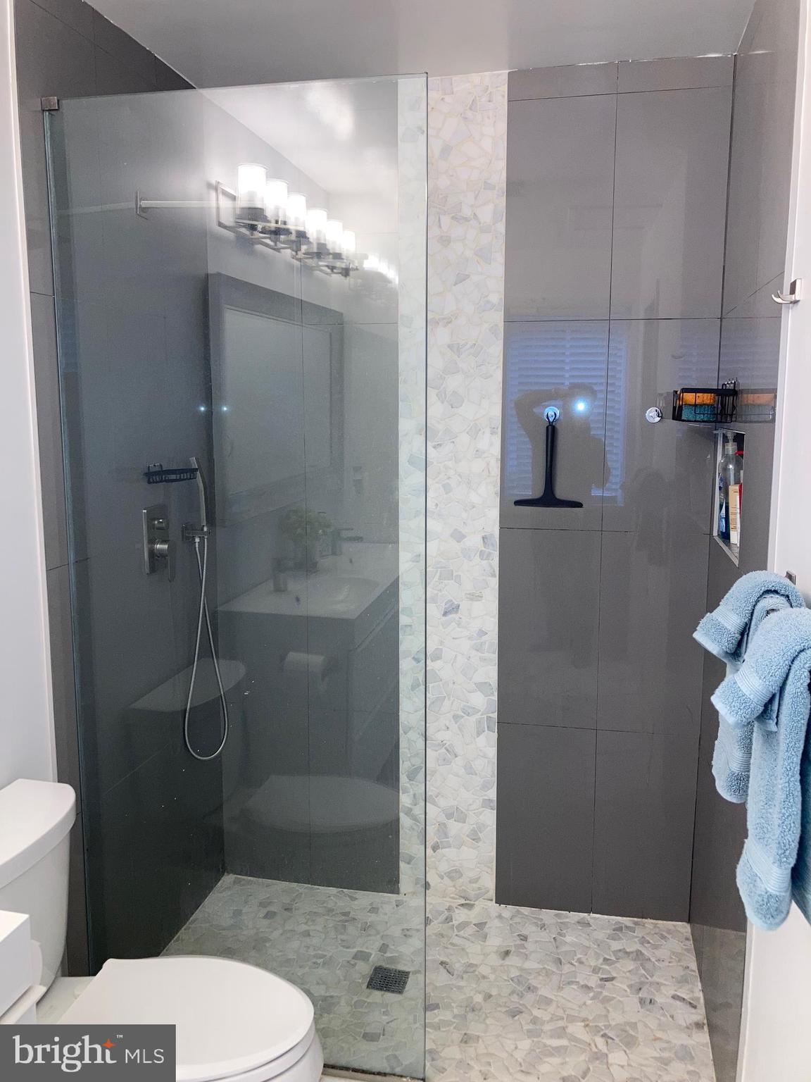 LACEY FOREST - Residential