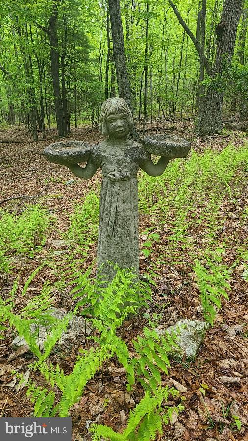 BUCK RIDGES (FORMERLY TREASURE MOUNTAINS) - Residential