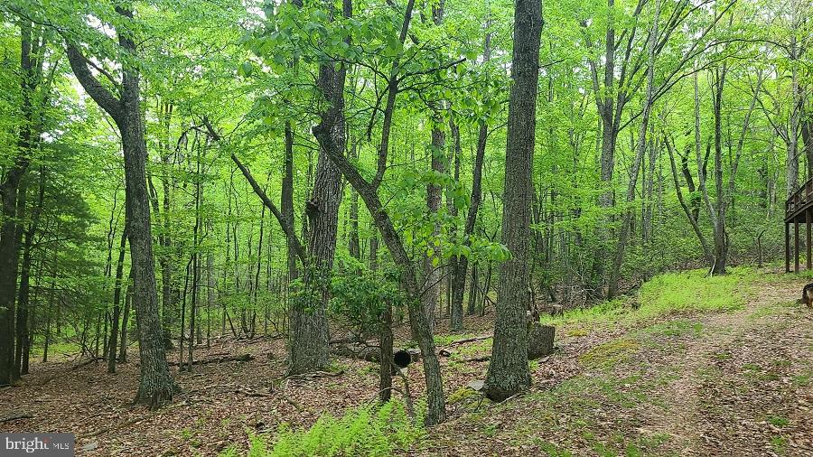 BUCK RIDGES (FORMERLY TREASURE MOUNTAINS) - Residential
