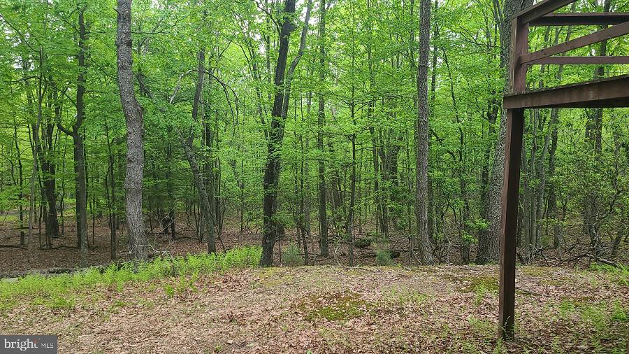 BUCK RIDGES (FORMERLY TREASURE MOUNTAINS) - Residential