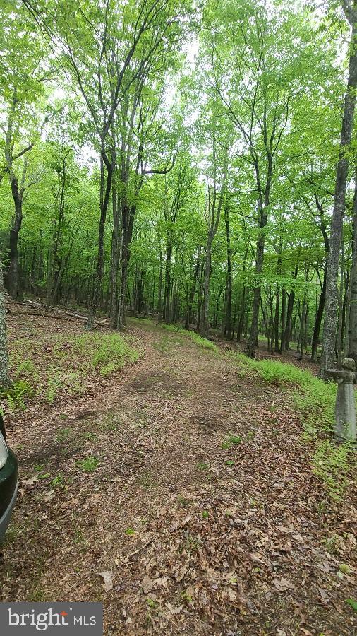 BUCK RIDGES (FORMERLY TREASURE MOUNTAINS) - Residential