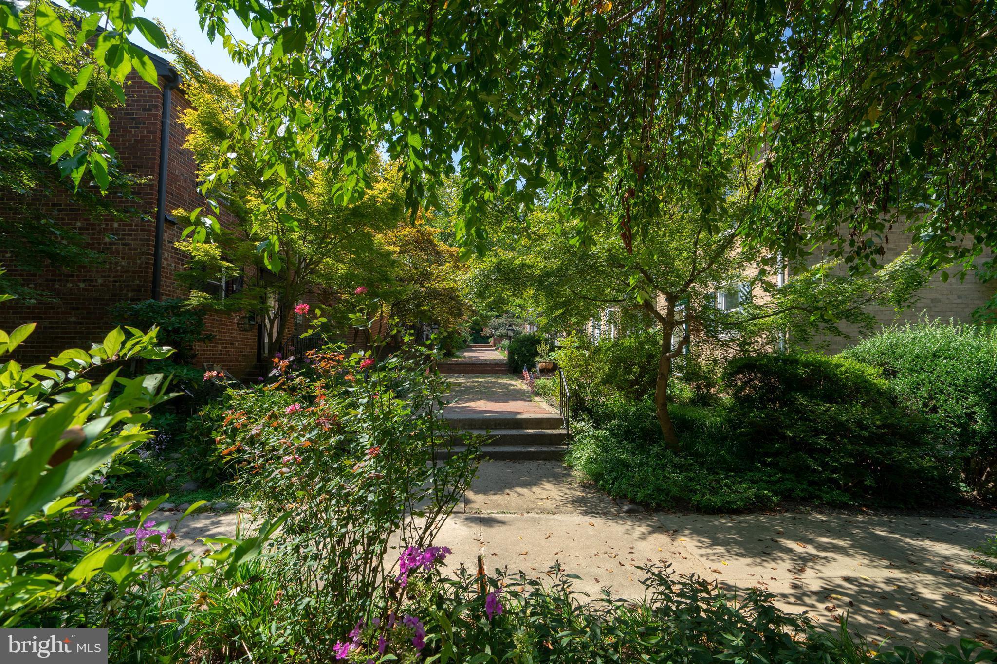 LAYTON COURT (MEWS) - Residential