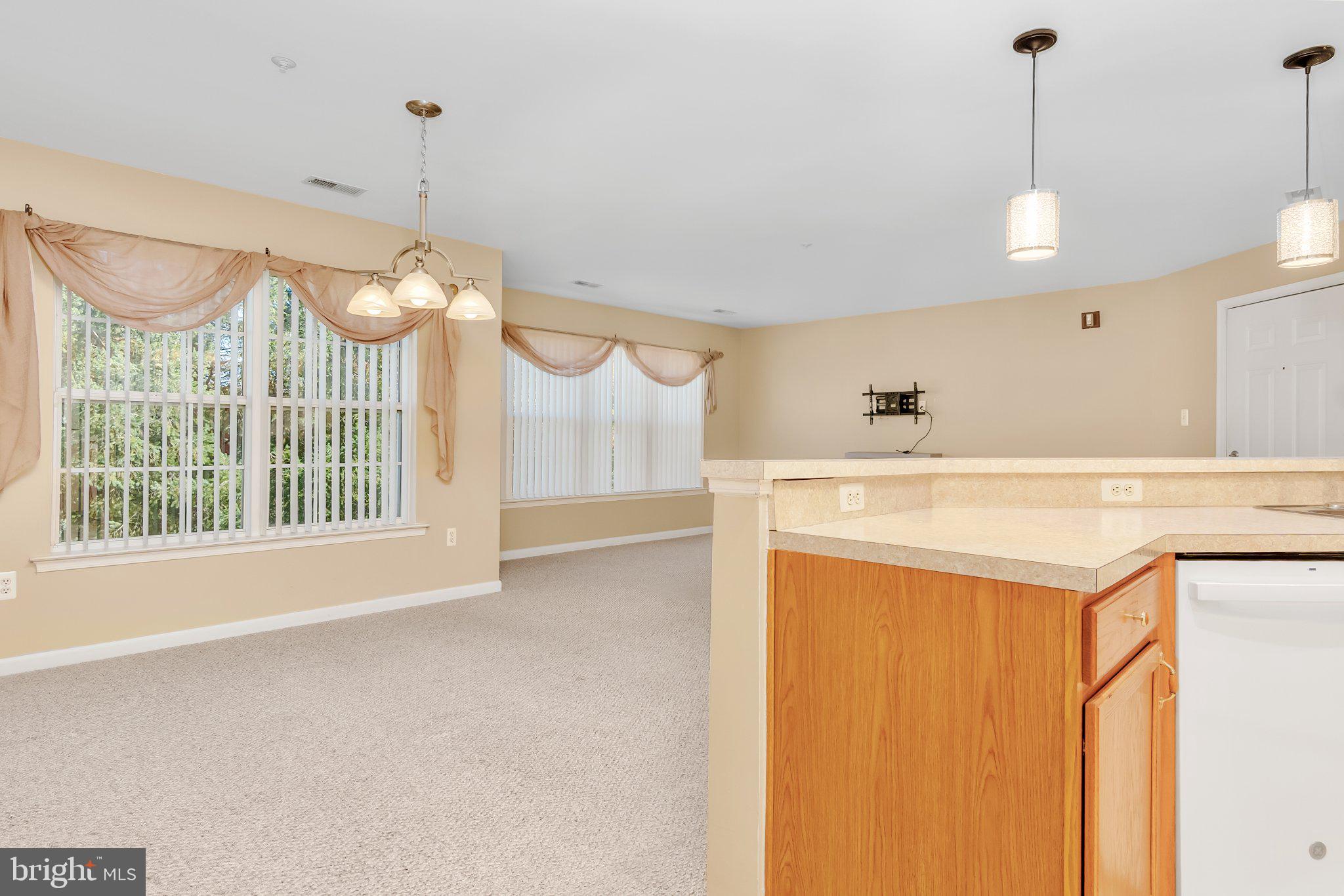 2029 WINDSONG DRIVE 3B