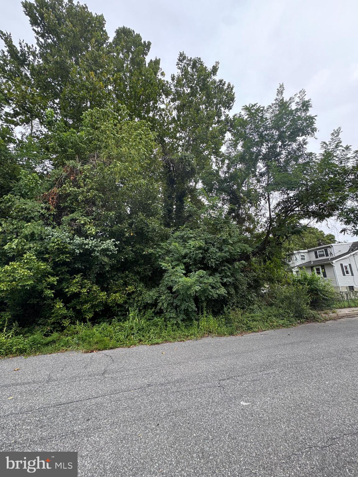 145 SHENANDOAH AVE
