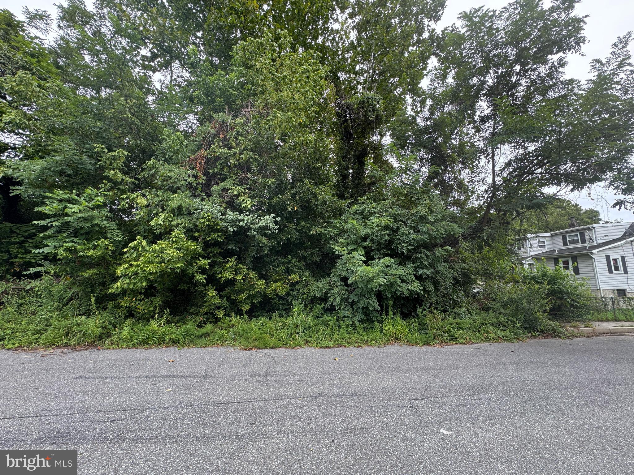 145 SHENANDOAH AVE