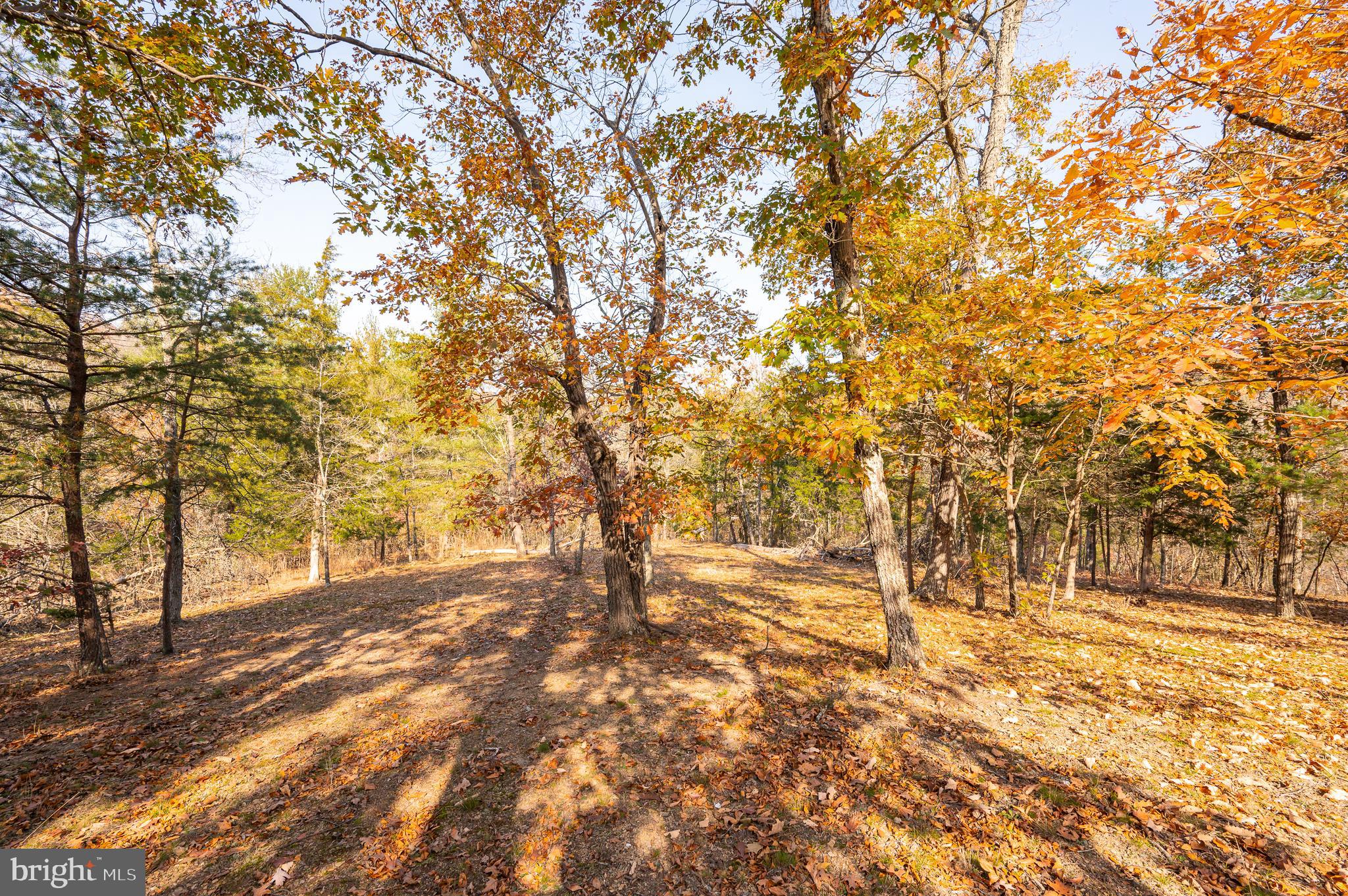 MONTEVALLO HILLS - Residential