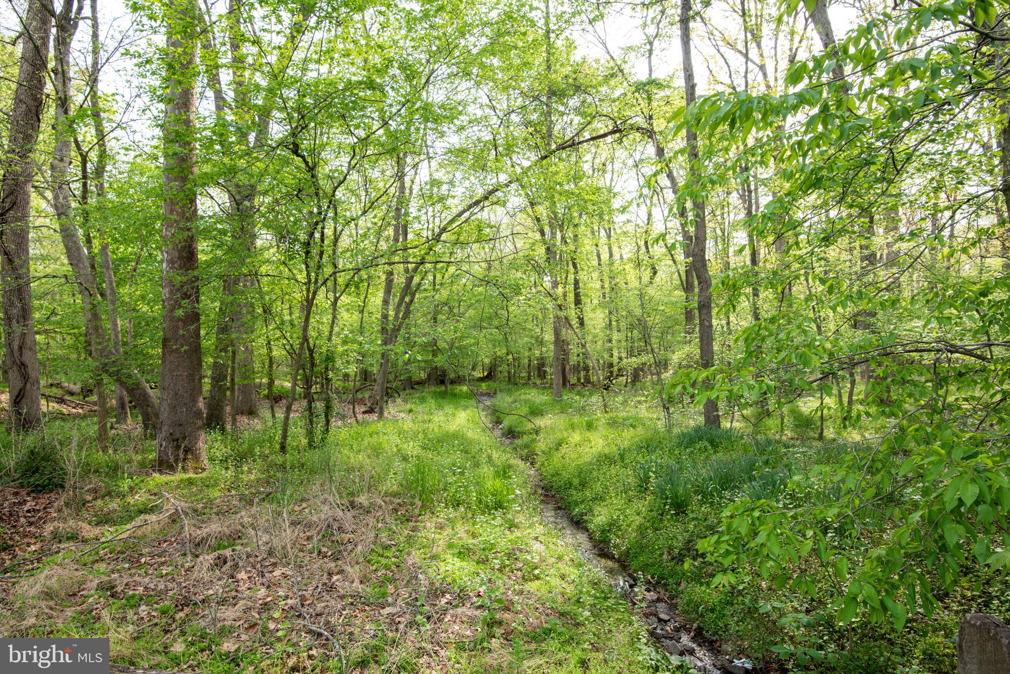 COUNTRY CLUB MANOR - Residential