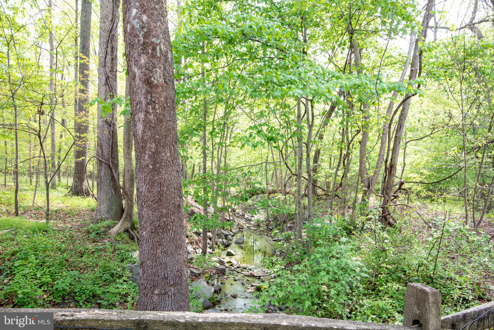 COUNTRY CLUB MANOR - Residential