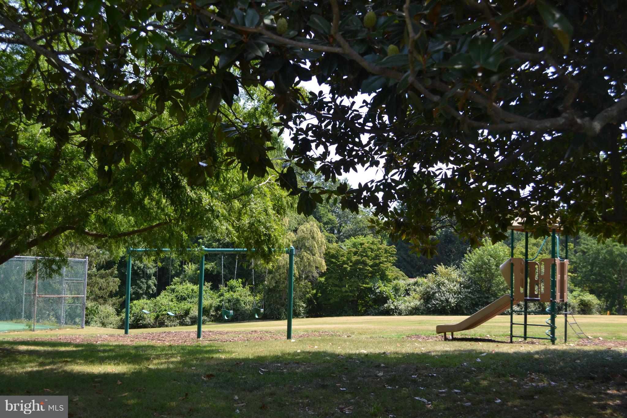 SCIENTISTS CLIFFS - Land