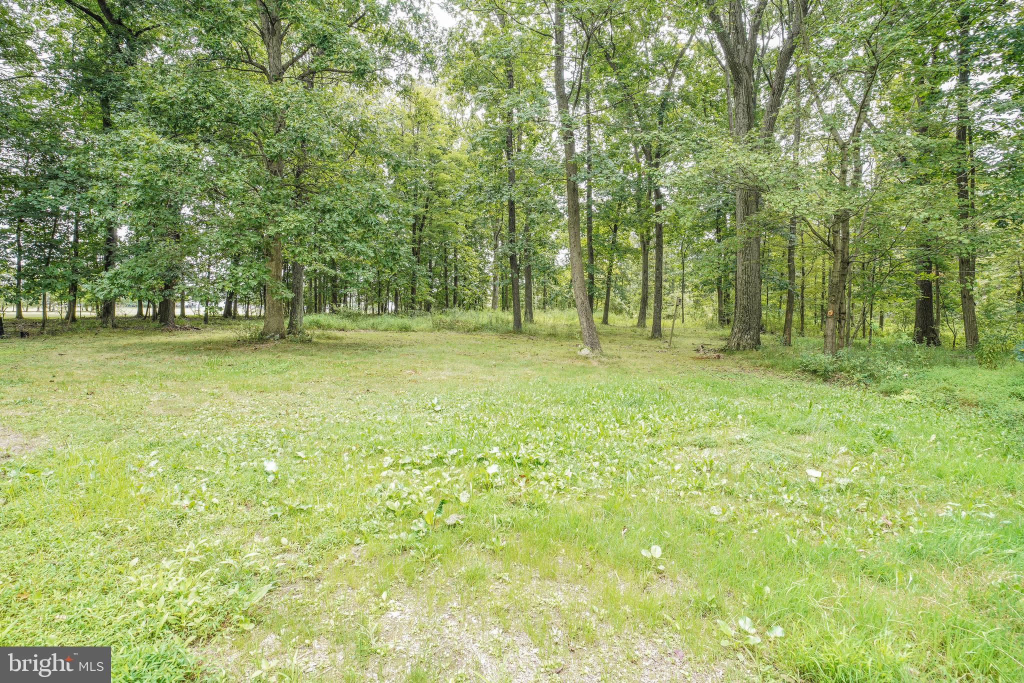 KINTNERSVILLE - Residential
