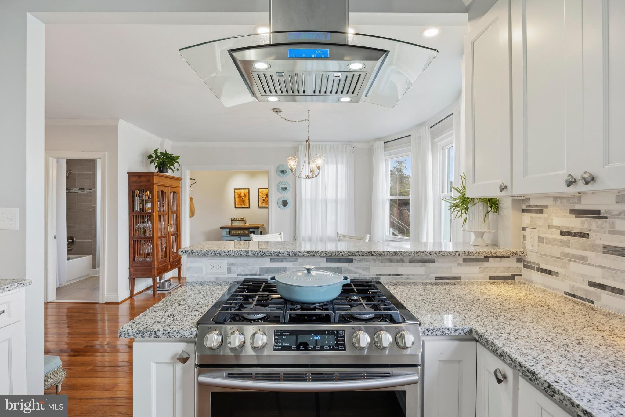 ASHBURTON HISTORIC DISTRICT - Residential