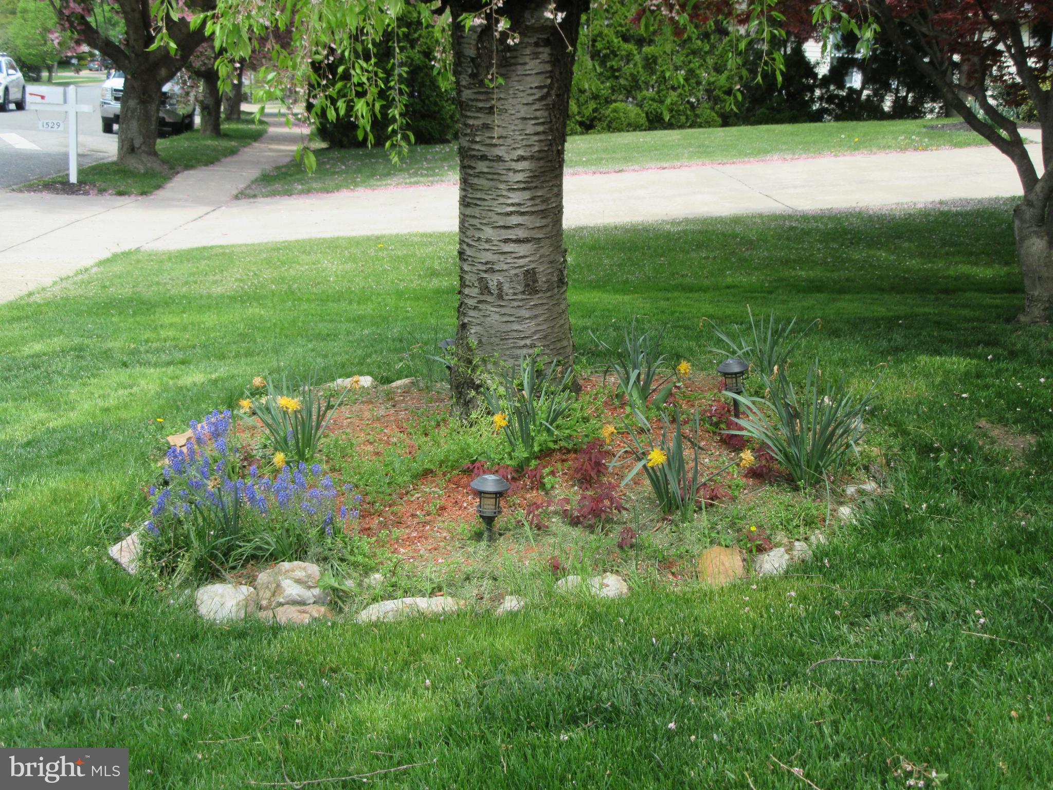 FOUNTAIN GLEN - Residential