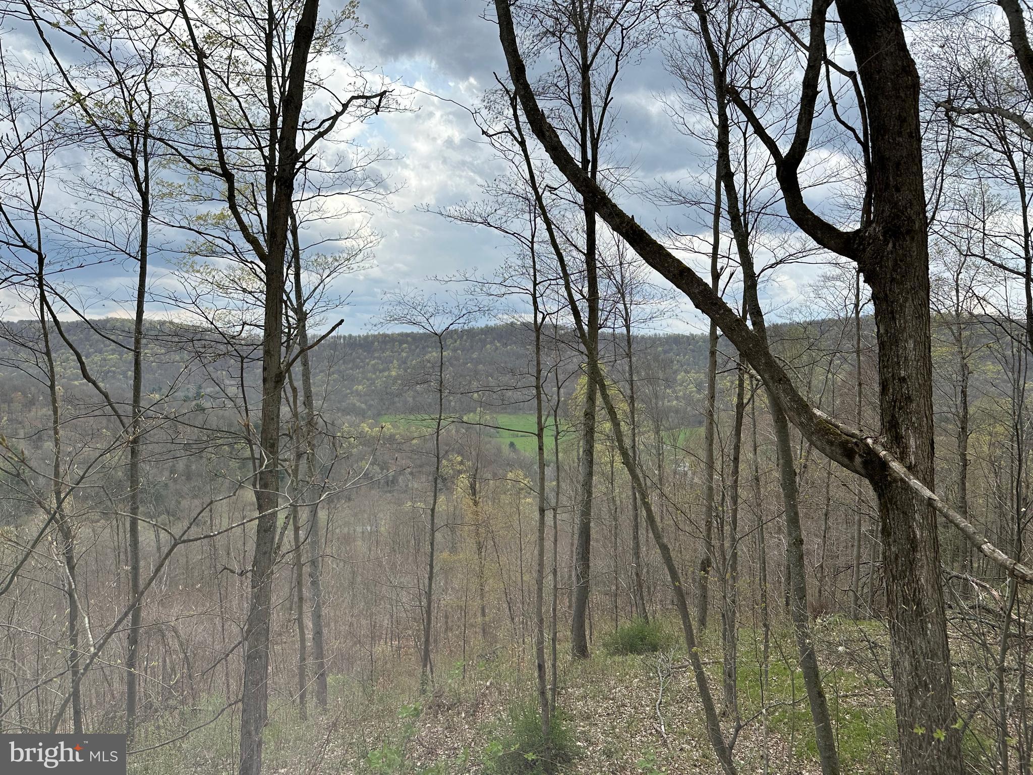 This forested property that sits just s a short drive from Bradford Pa, has potential for a great building lot for a home or camp while also being a investment property for future timber growth. Road frontage off Rob Roy Road provides access for a potential building site, with another deeded access road from the north off Bon Aire Road. There are amazing views from the ridge tops overlooking the valley below. With several exiting trails throughout the property this offers endless recreational potential from hiking, hunting, camping to atv riding. The diverse terrain offers great hunting opportunity with great habitat to provide bedding cover and browse for wildlife not to mention several natural travel corridors and saddles to place hunting stands. Call today to set up a showing.