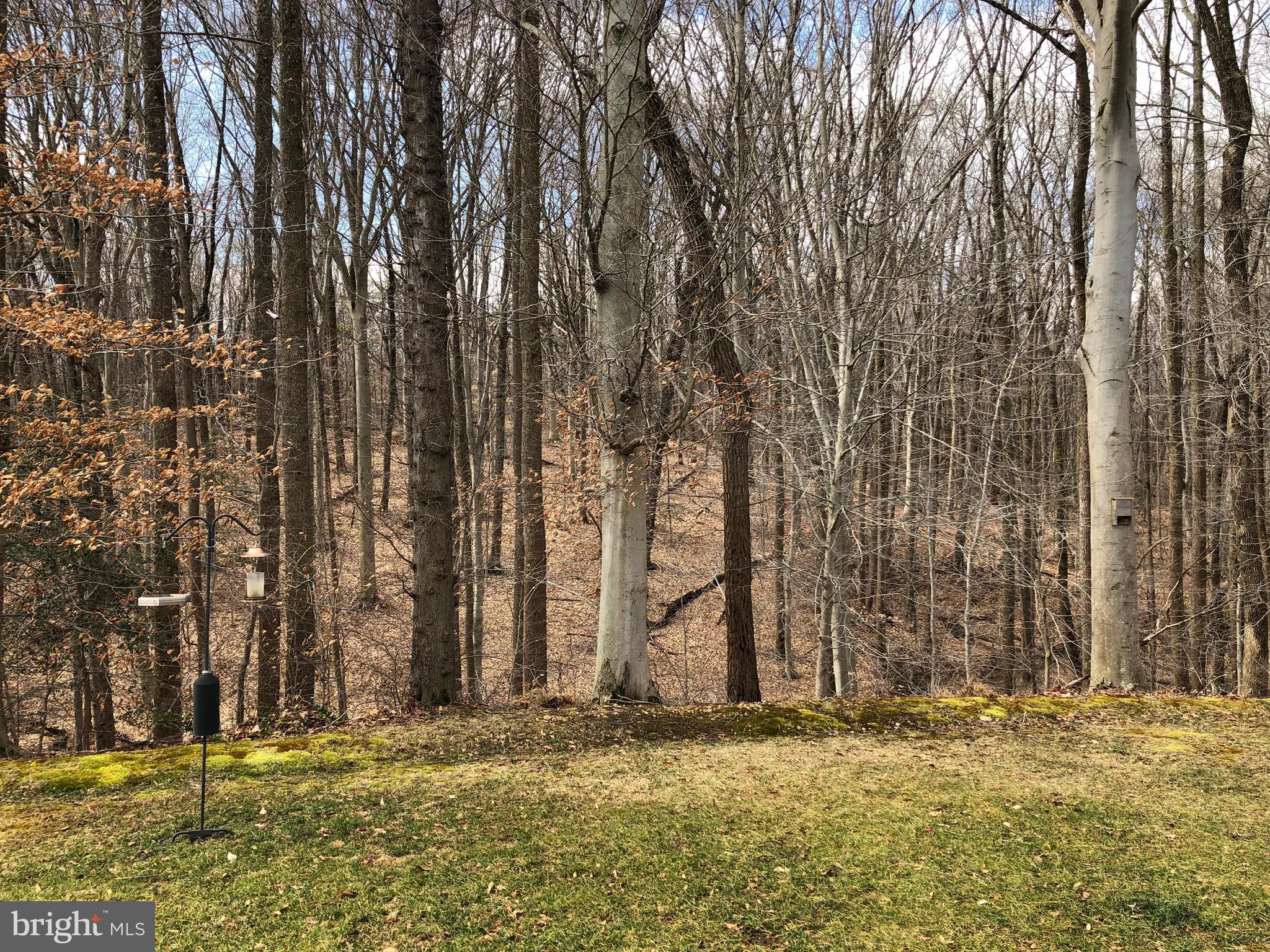 MYERS ESTATES - Residential