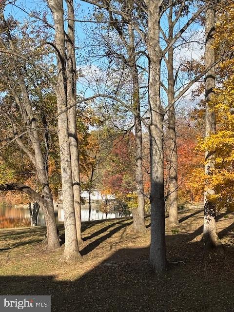 WILDE LAKE - Residential