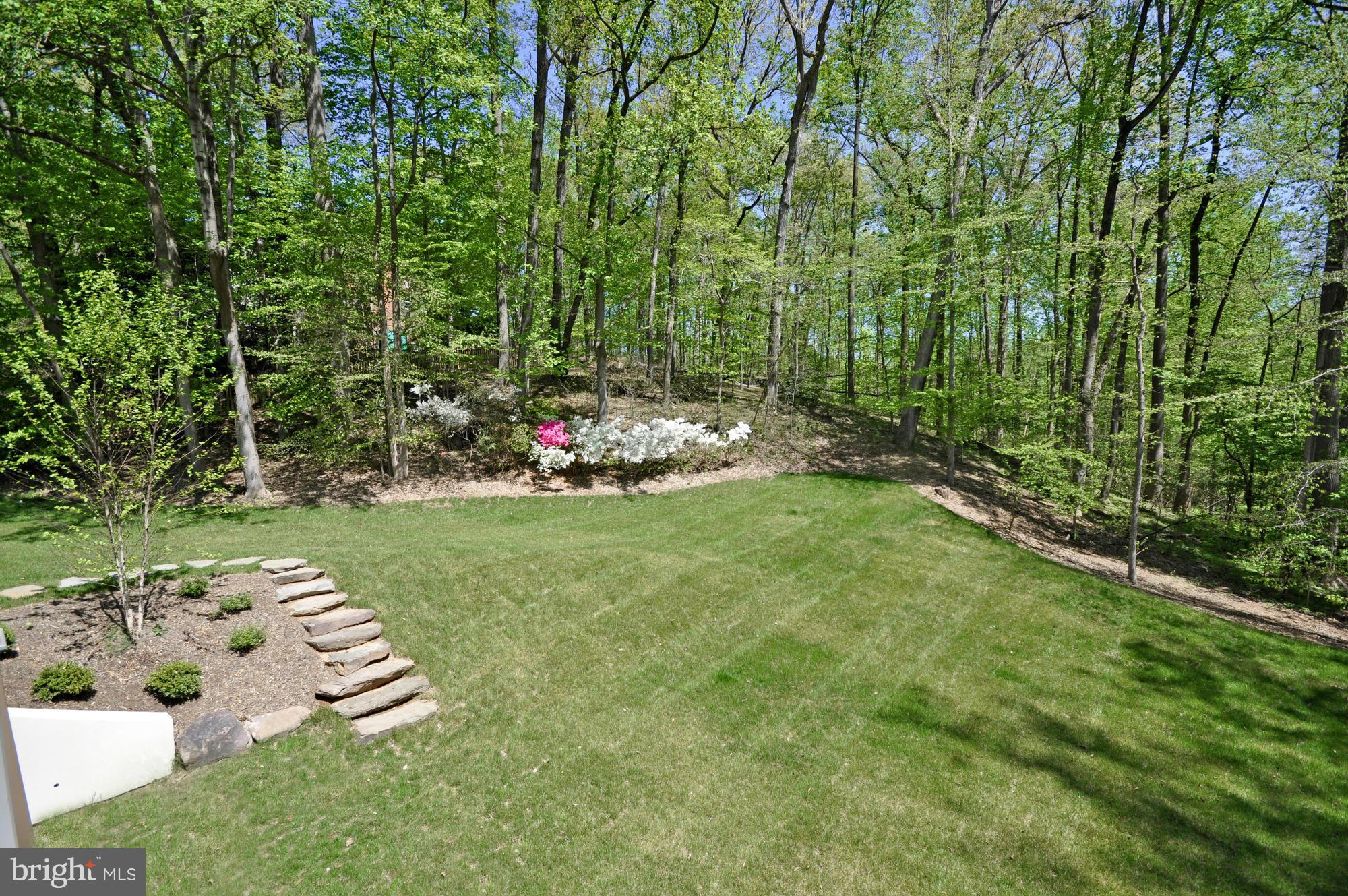 LANGLEY FOREST - Residential Lease