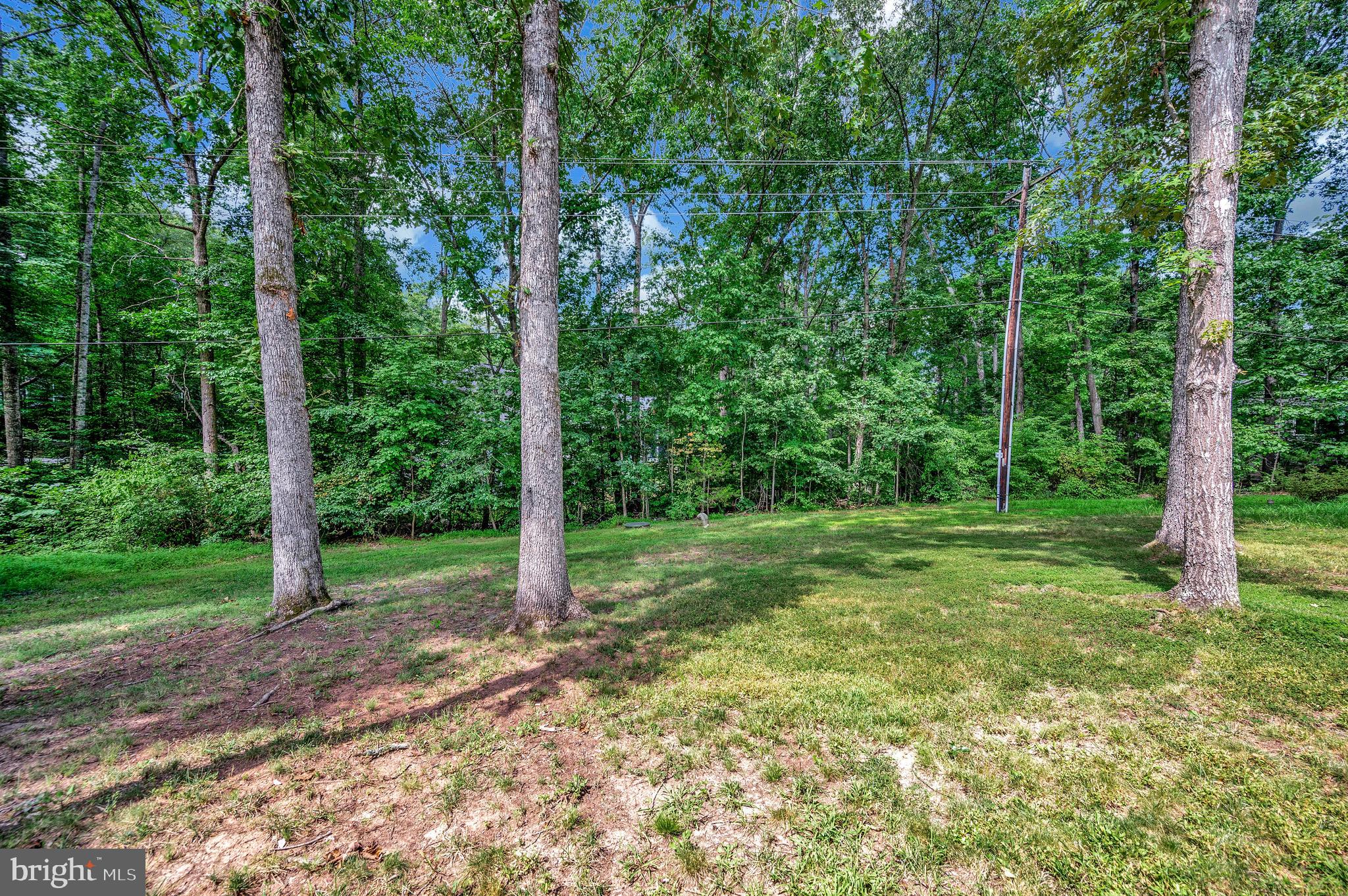 LAKE OF THE WOODS - Residential