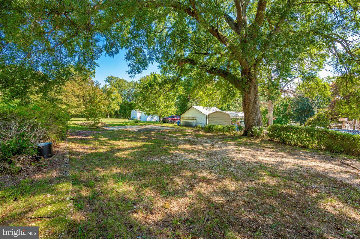 MATTINGLY AVE IND HEAD - Residential Lease