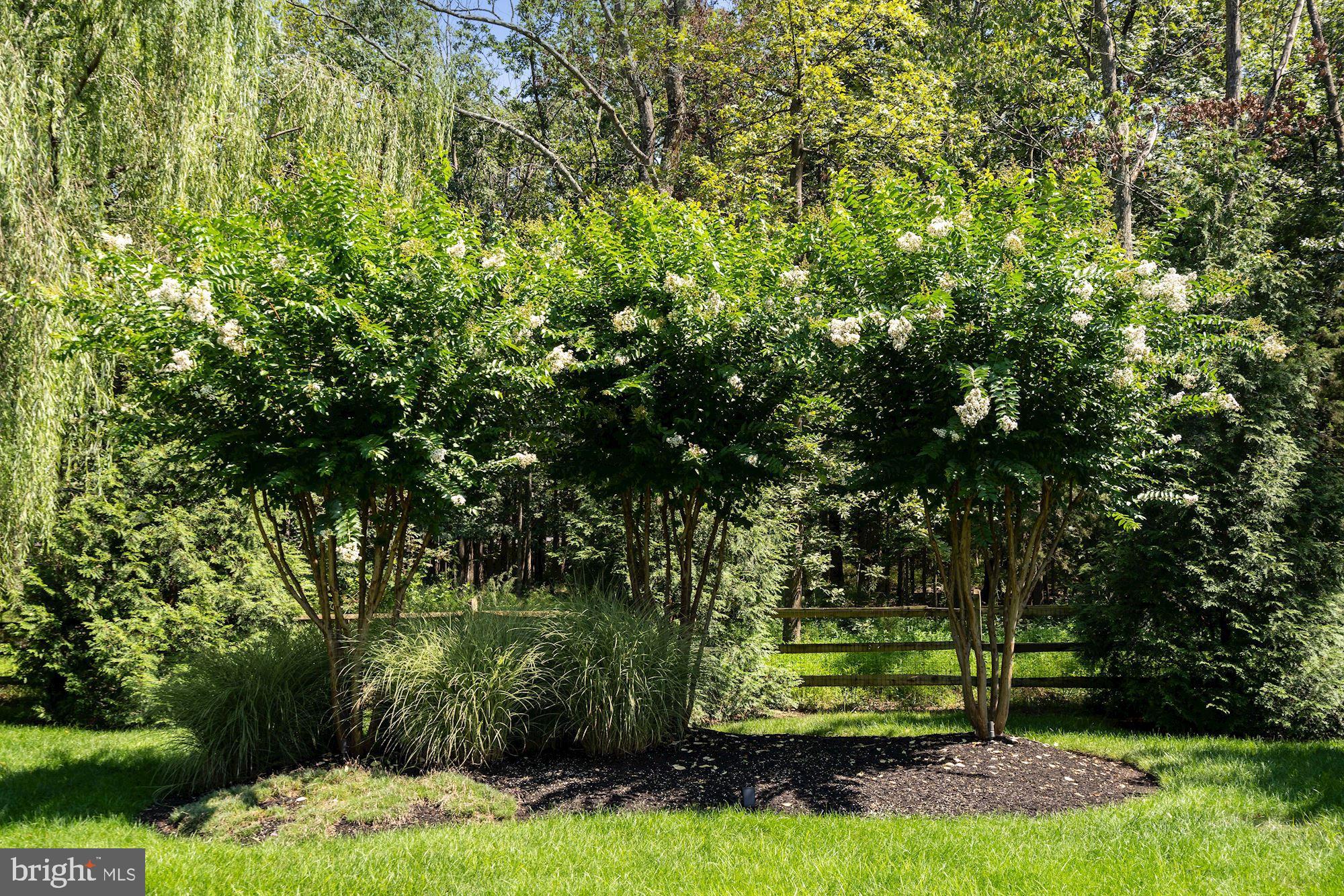 VIRGINIA RUN - Residential