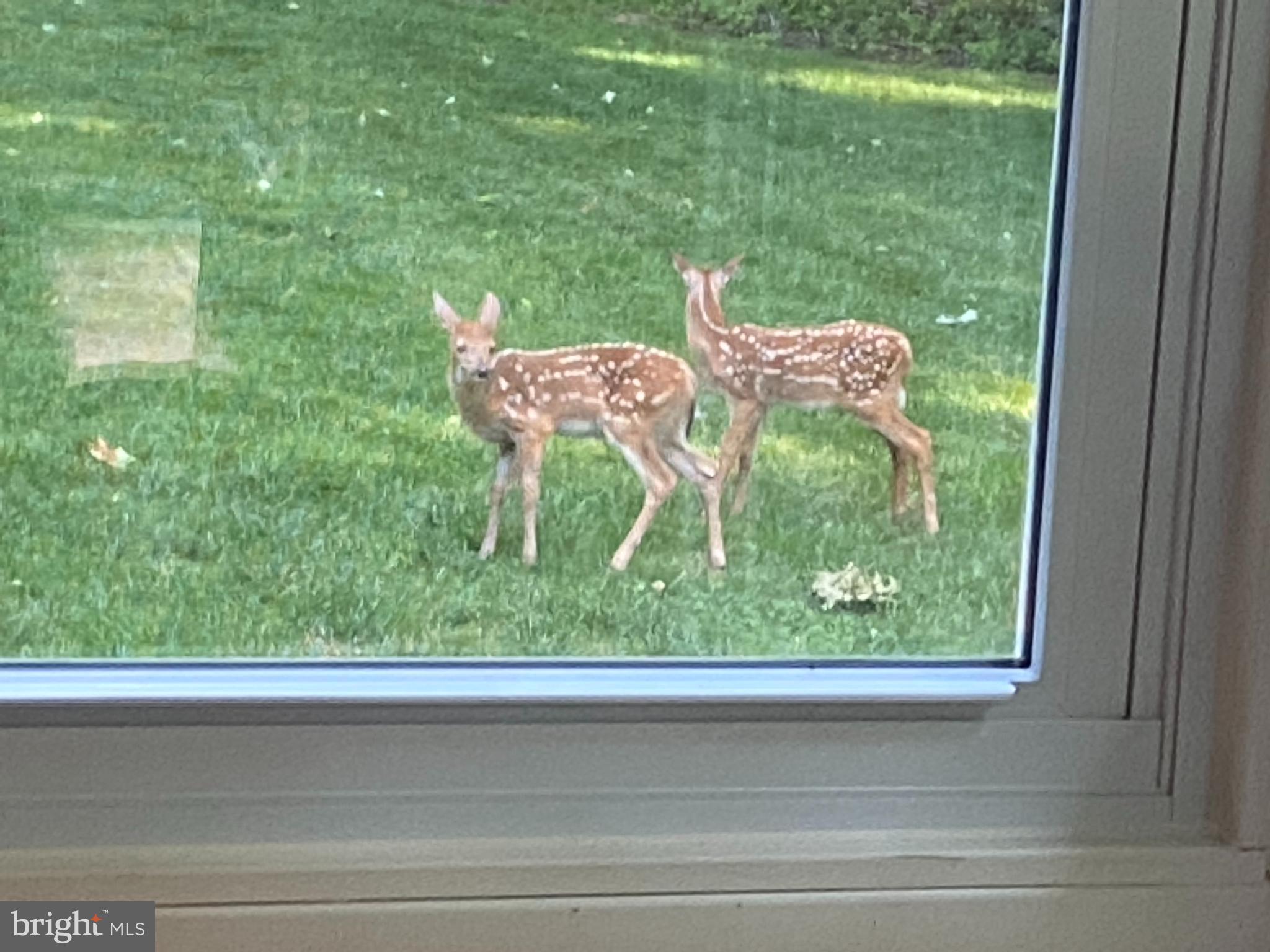 WEBSTER VILLAGE - Residential