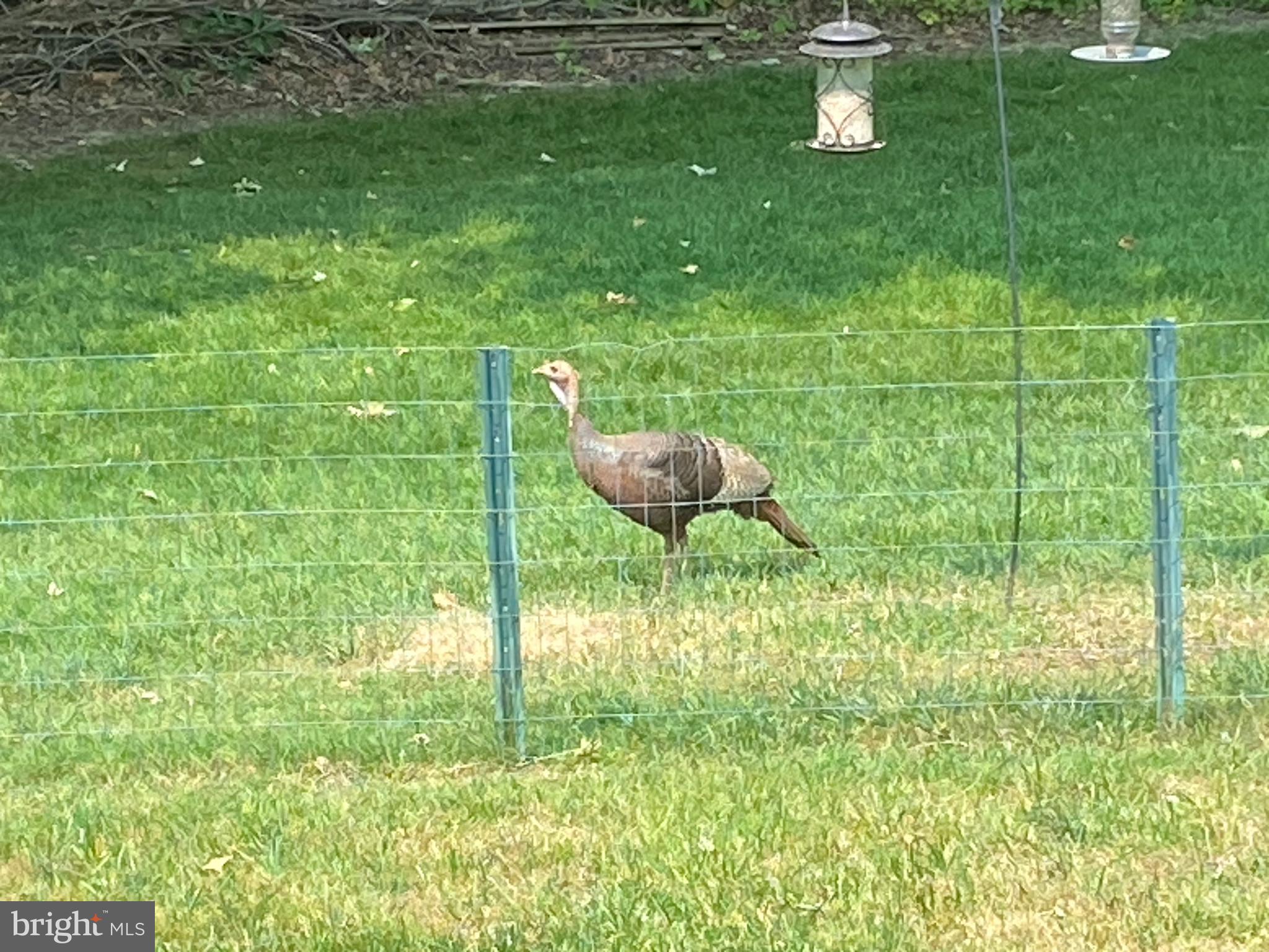 WEBSTER VILLAGE - Residential