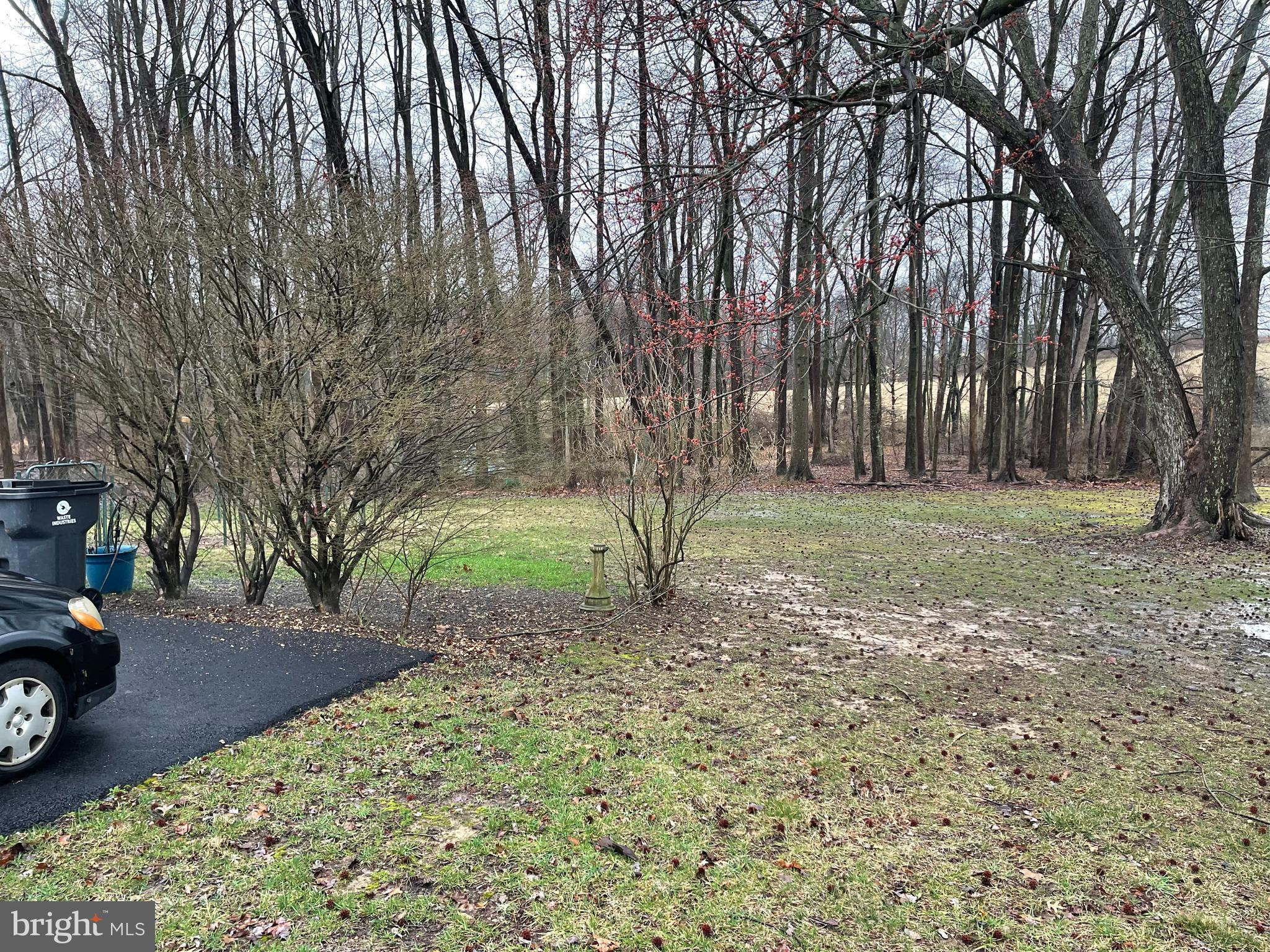 WEBSTER VILLAGE - Residential