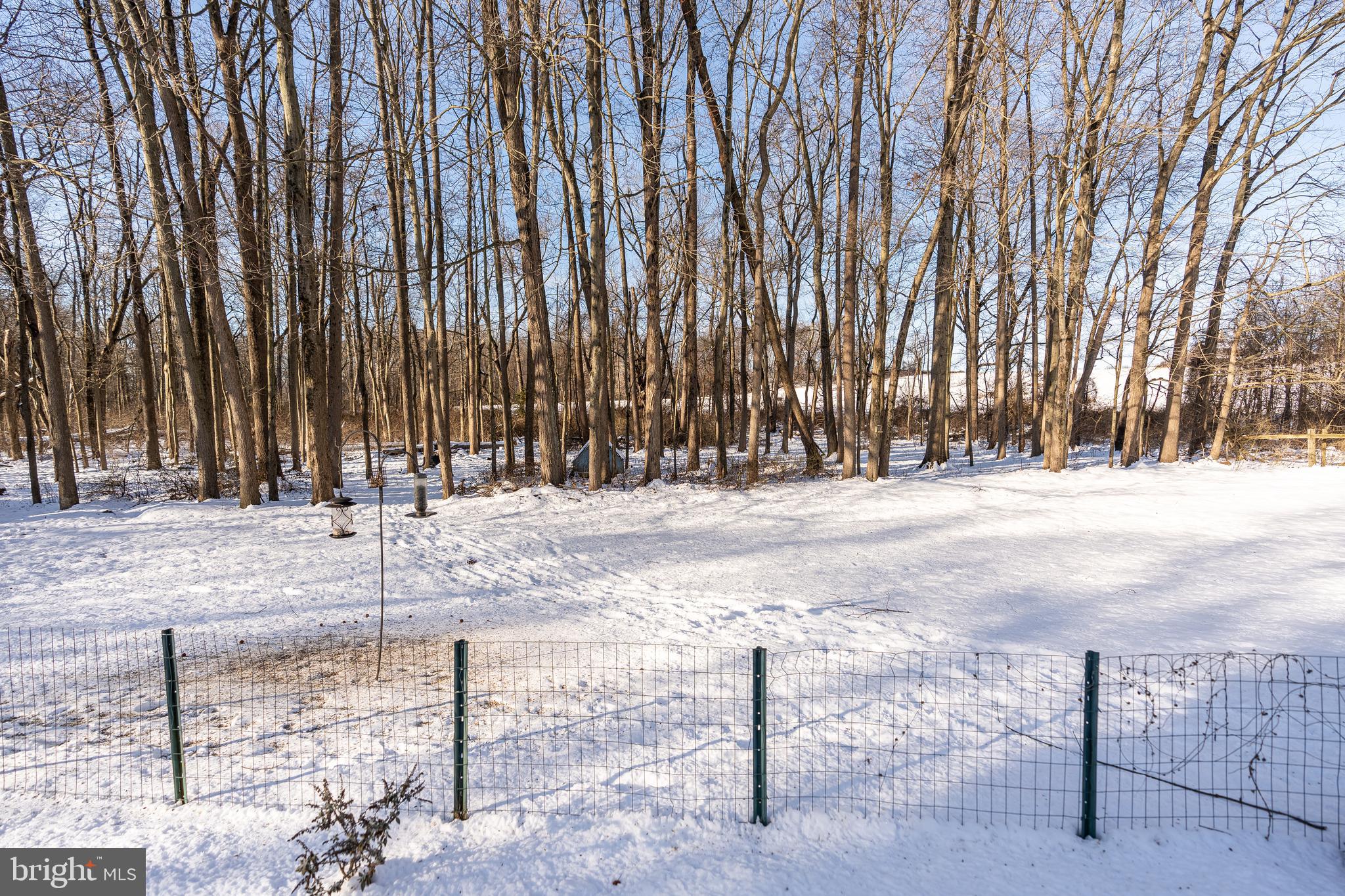 WEBSTER VILLAGE - Residential