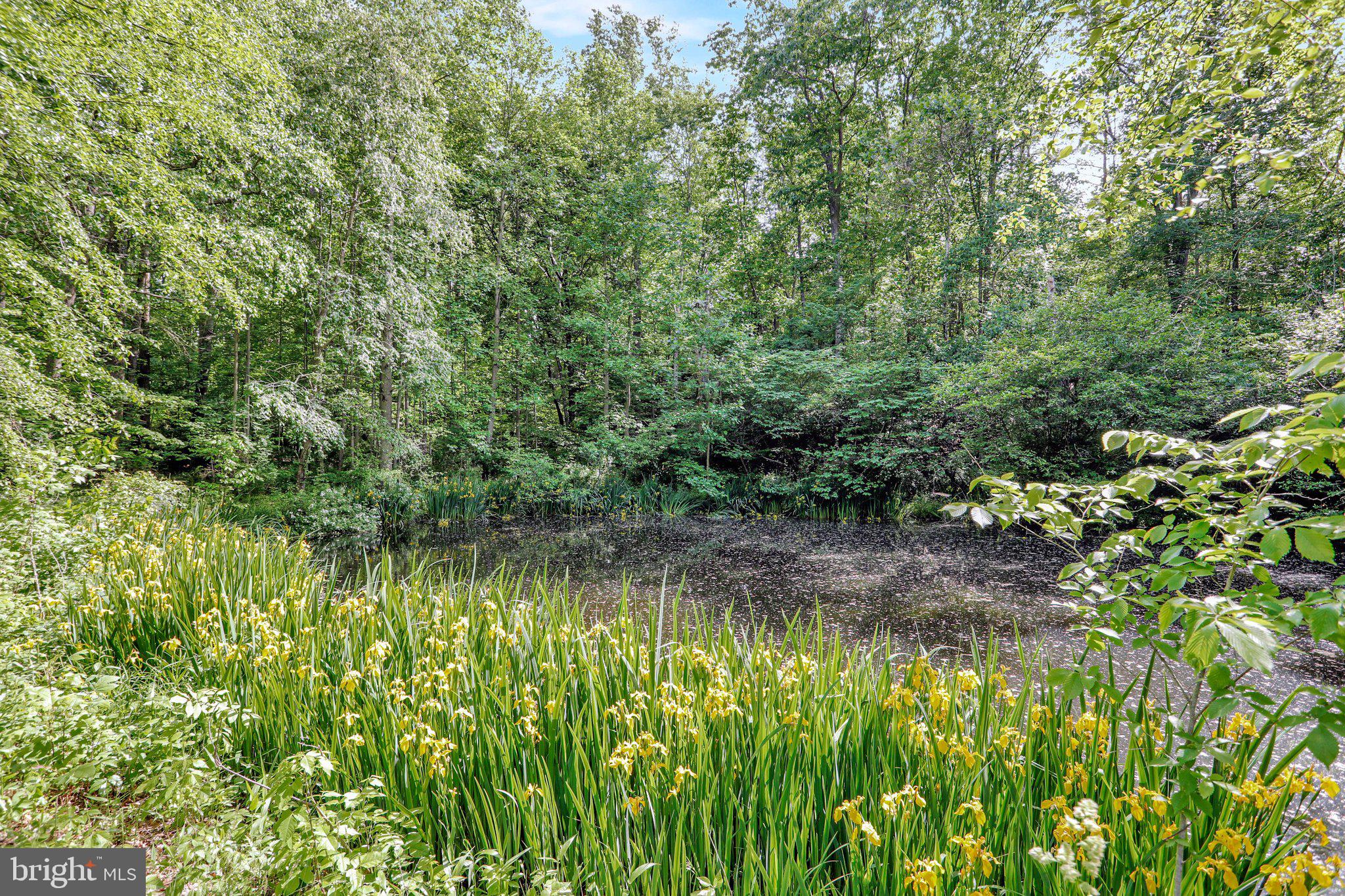 SLEEPY CREEK MOUNTAIN ESTATES - Residential