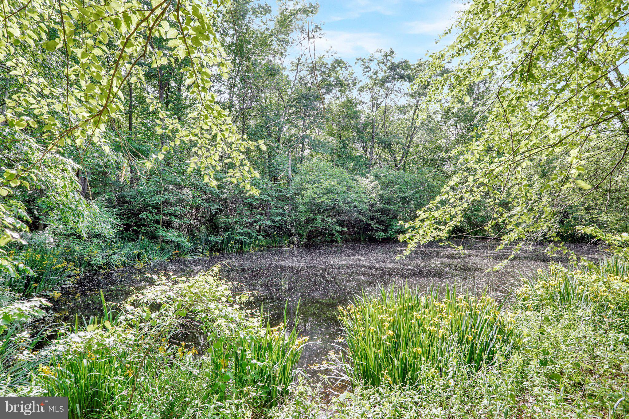 SLEEPY CREEK MOUNTAIN ESTATES - Residential