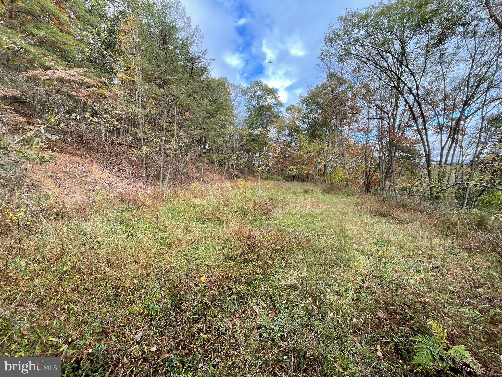 BOWLING GREEN - Residential