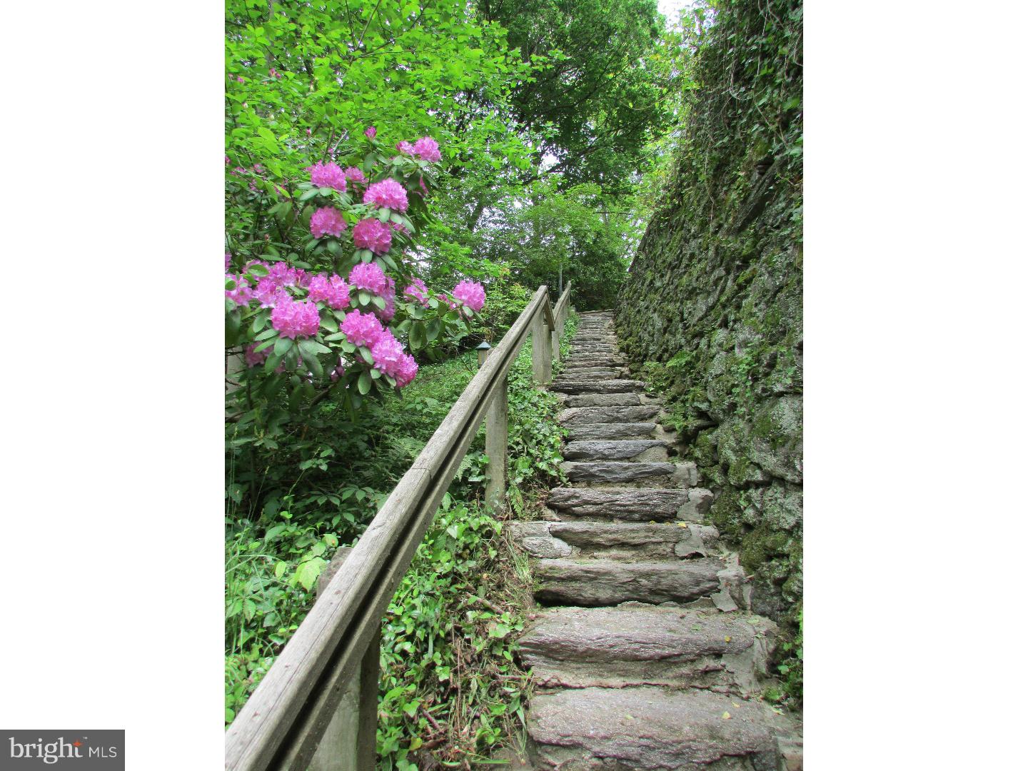 CHESTNUT HILL - Residential