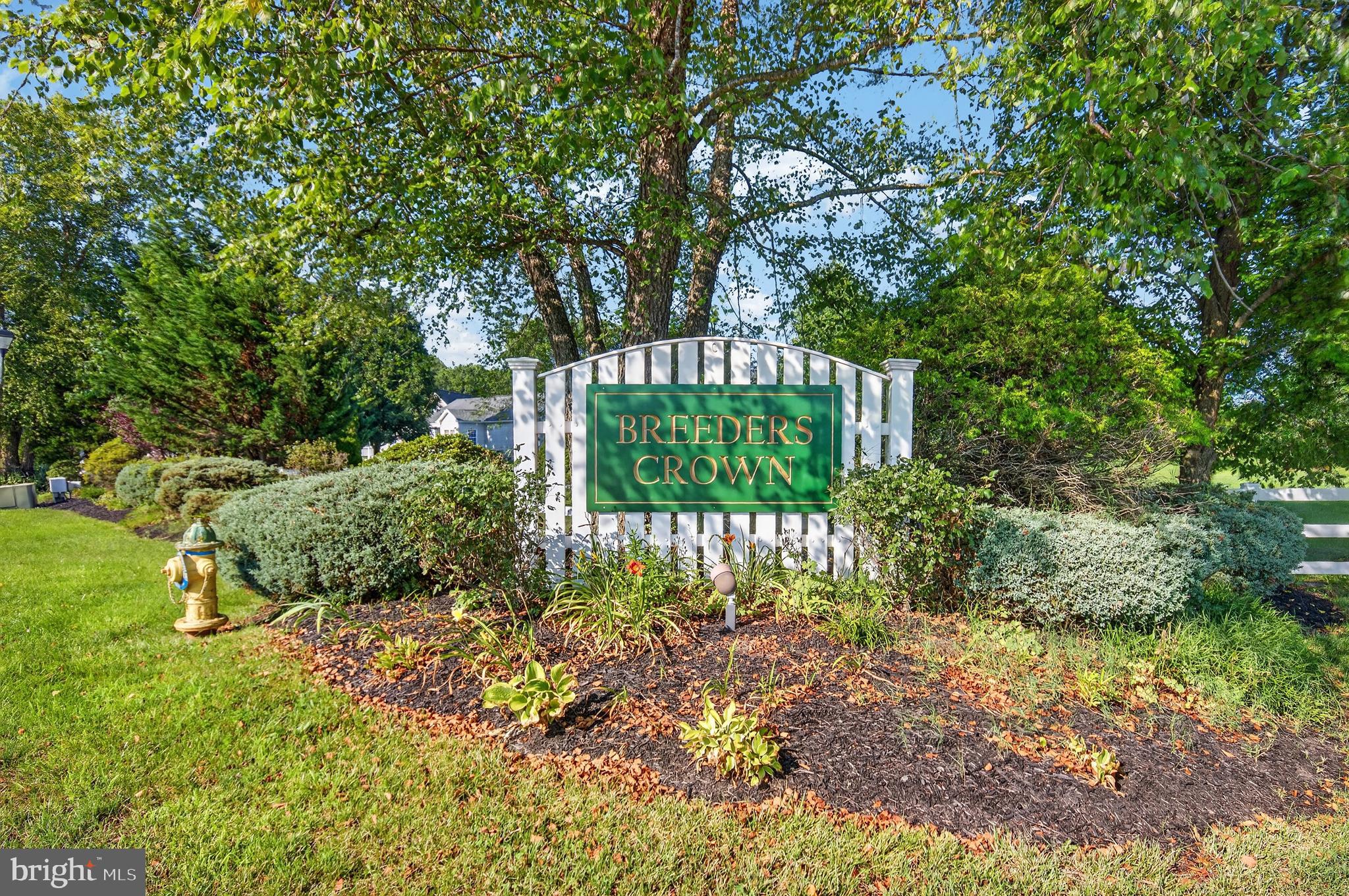 113 FOAL COURT