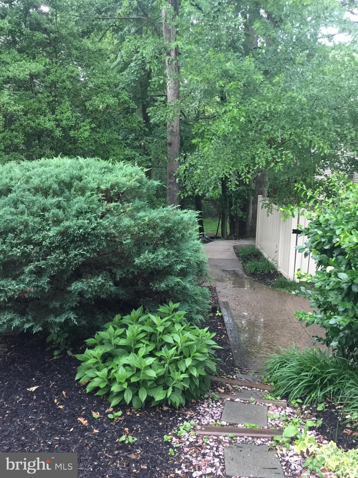 LAKE RIDGE - Residential Lease