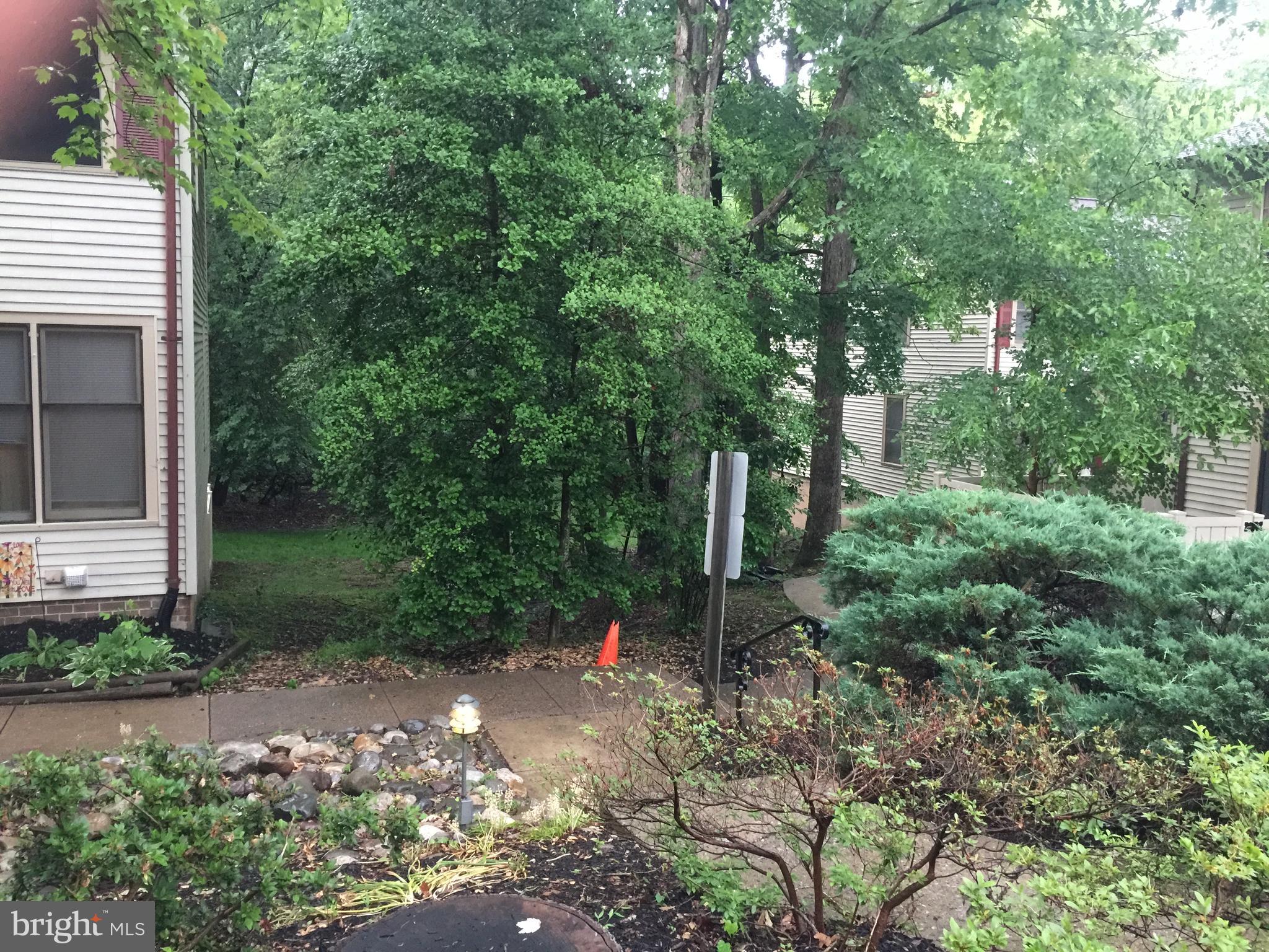 LAKE RIDGE - Residential Lease