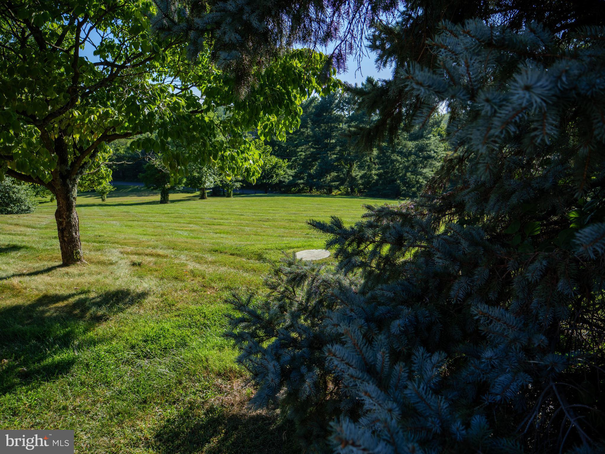 17152 BRIDGE VIEW COURT