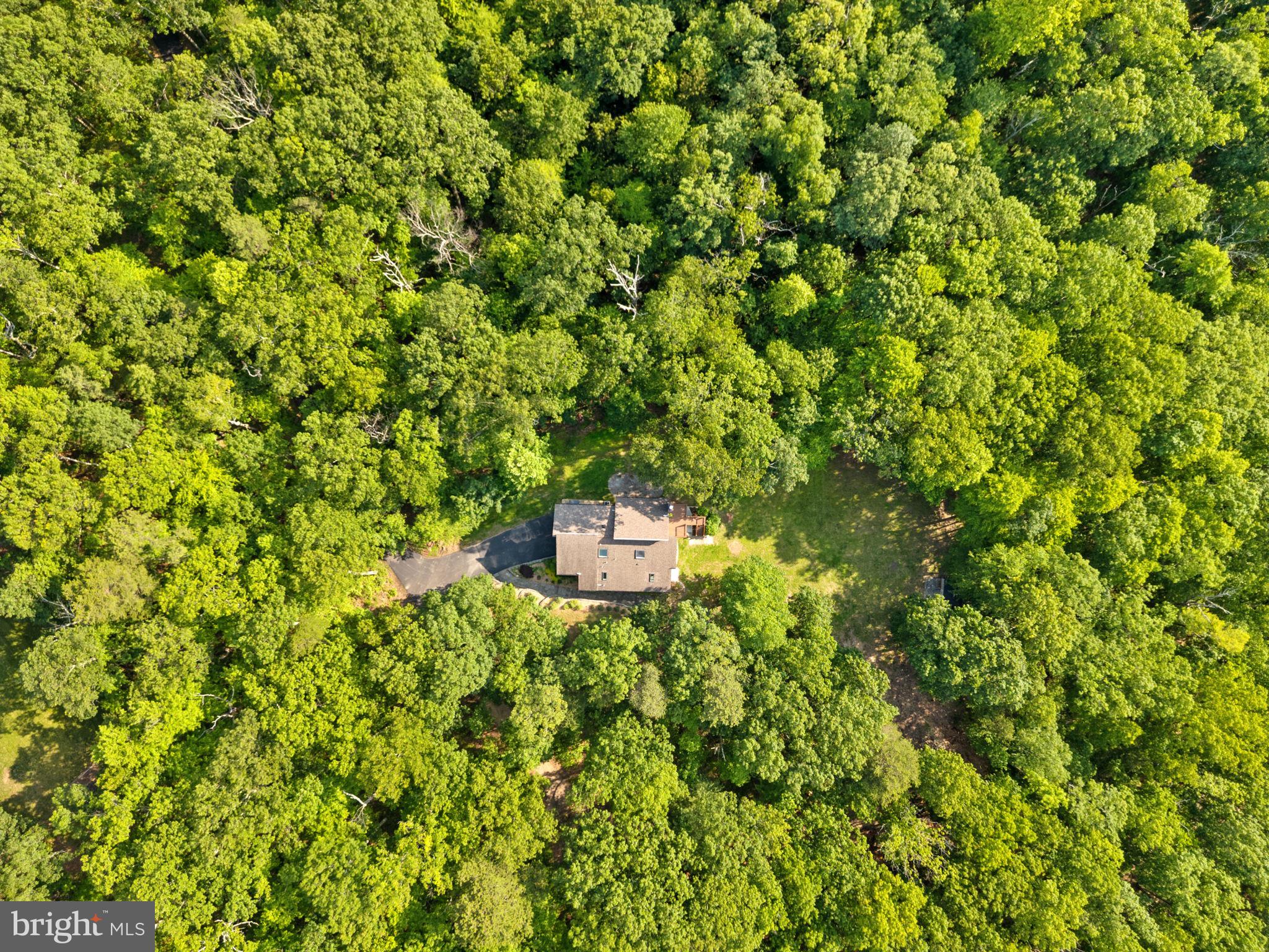 HERTZ DIVISION - Residential Lease