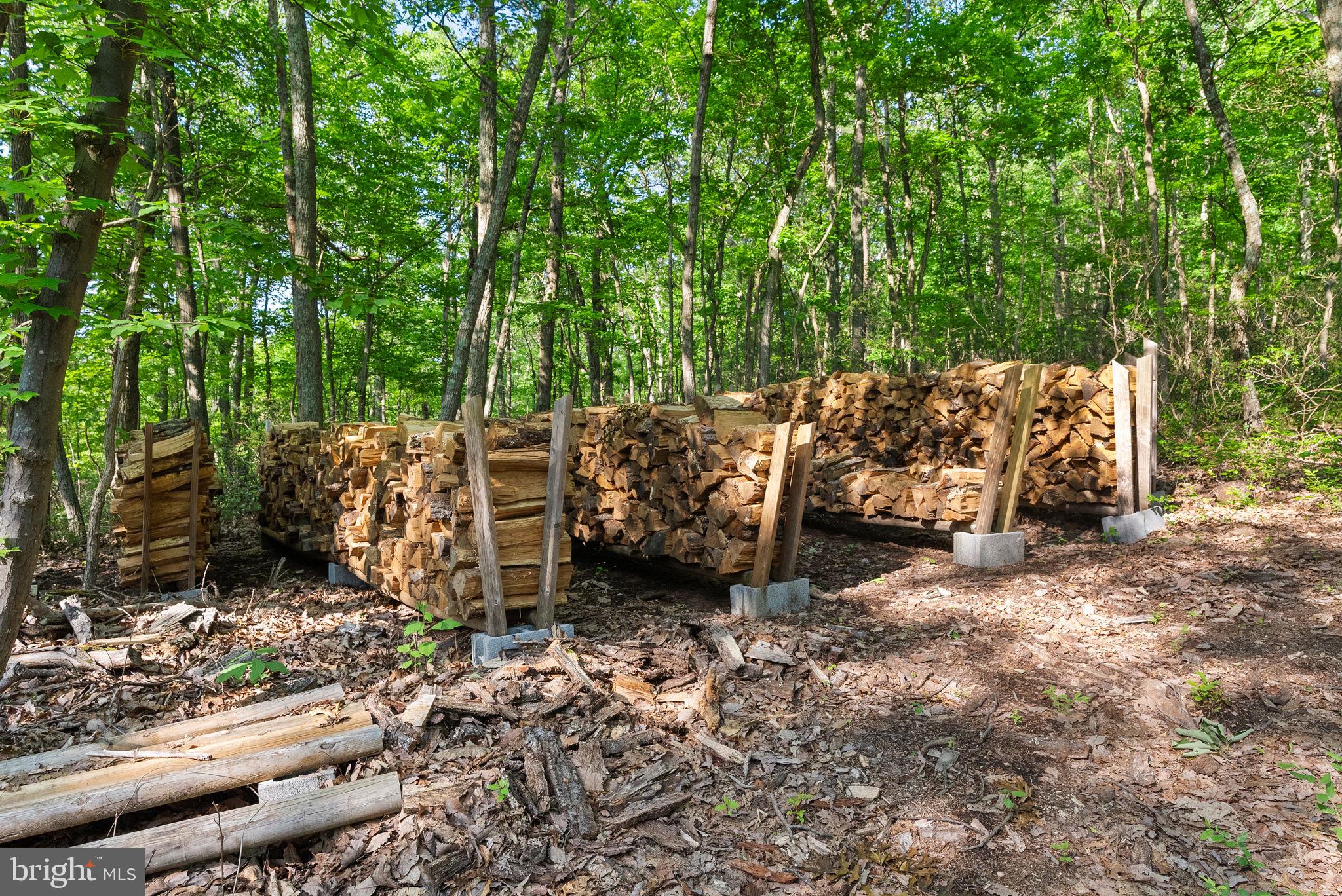 HERTZ DIVISION - Residential Lease