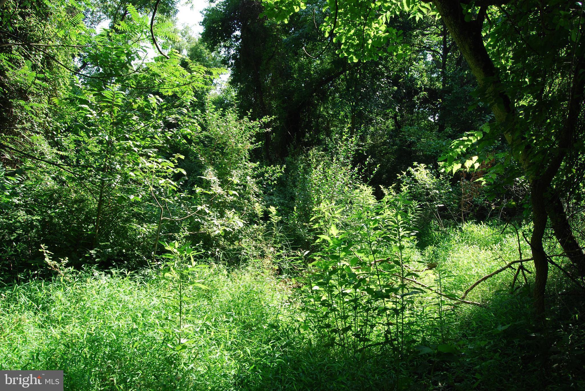 JOHN BROWN FARM - Land
